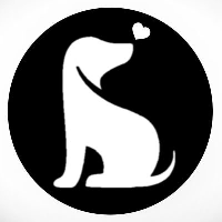 SHIBIC SHIBIC at Coins Rating